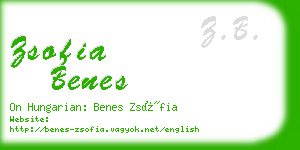 zsofia benes business card